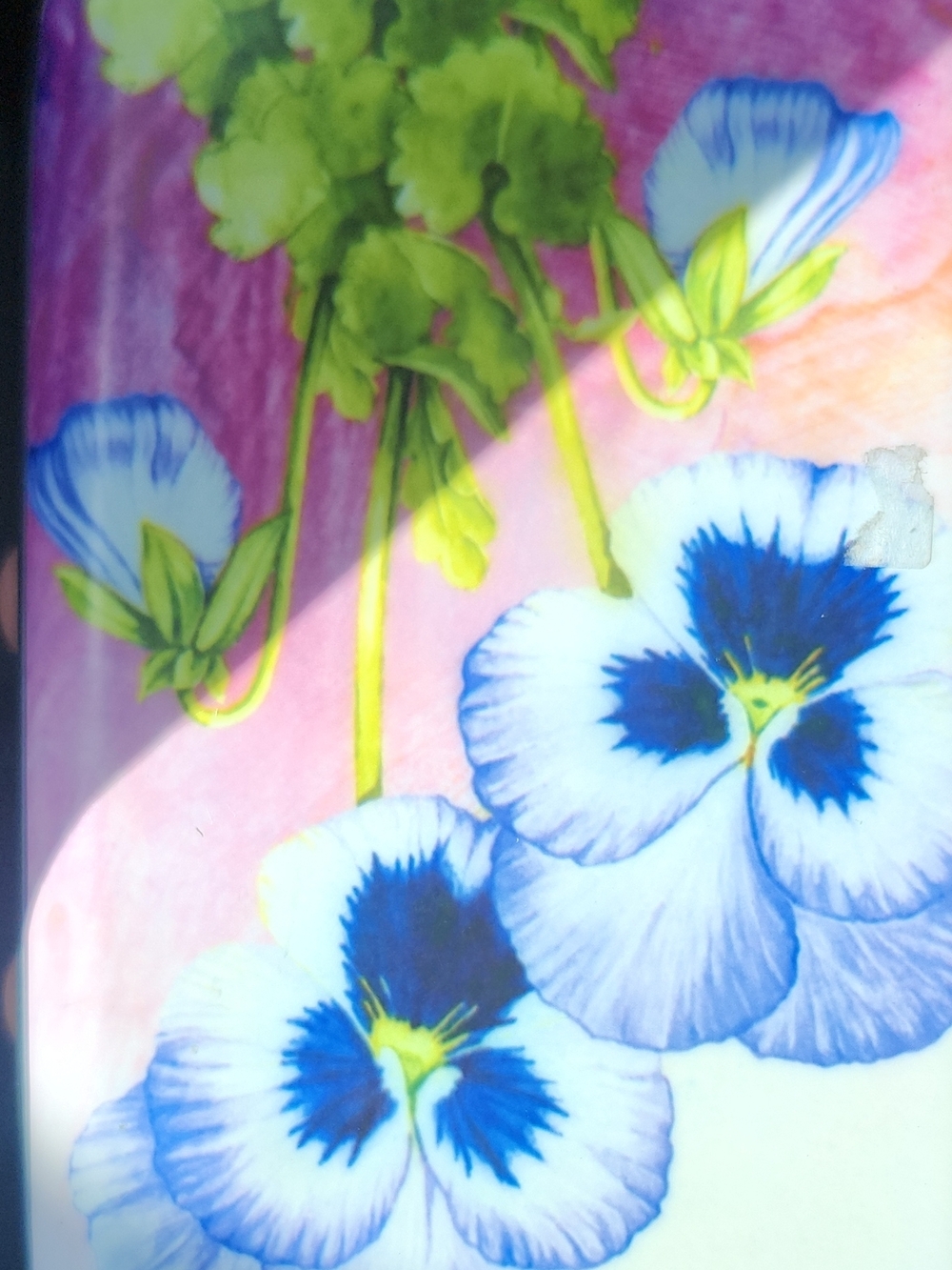 Floral Pansy Print Case in Pink and Blue